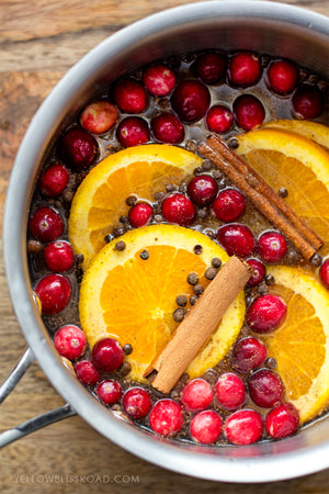 Holiday Stove Top Potpourri